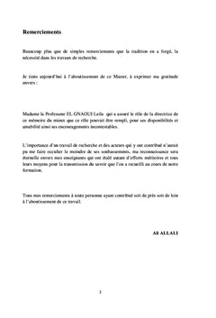 La politique de contrôle au sein des organisations publiques