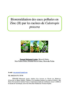 Bioremédiation des eaux polluées en Zinc (II) par les racines