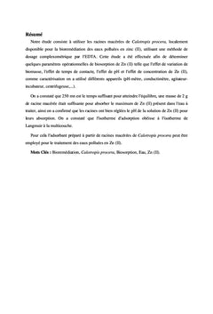 Bioremédiation des eaux polluées en Zinc (II) par les racines