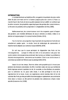 Essai de production de la levure sur des substrats tropicaux