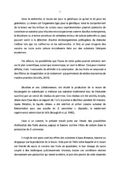 Essai de production de la levure sur des substrats tropicaux