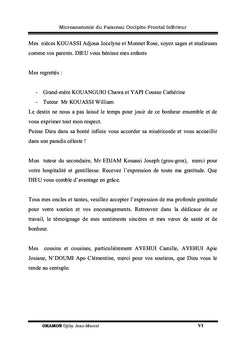 Micro-anatomie du Faisceau Occipito-Frontal Inférieur