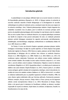 Exploration de six plantes médicinales Tunisiennes