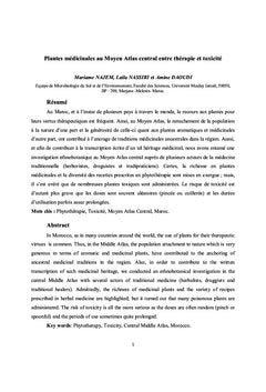 Plantes médicinales au Moyen Atlas central entre thérapie et toxicité