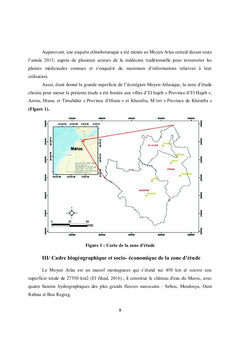 Plantes médicinales au Moyen Atlas central entre thérapie et toxicité