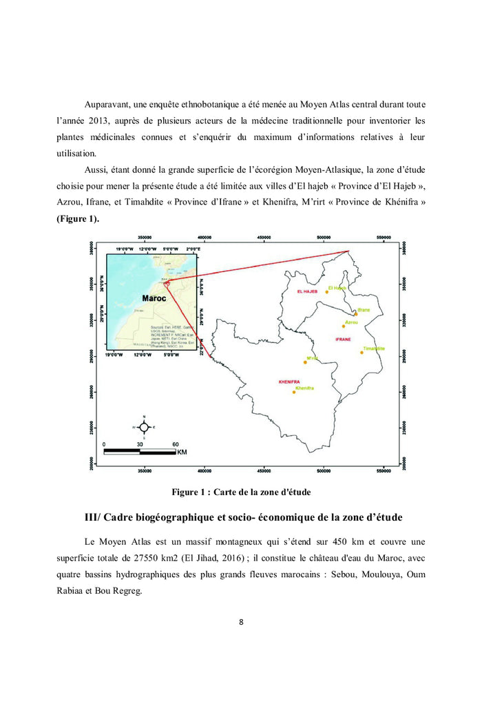 Plantes médicinales au Moyen Atlas central entre thérapie et toxicité
