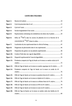 Potentiel de production de Moringa oleifera