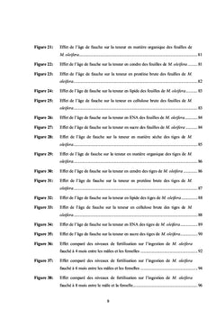 Potentiel de production de Moringa oleifera