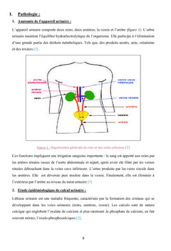 Étude de l'activité inhibitrice et lytholytique des extraits naturels