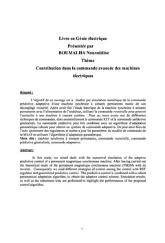 Contribution dans la commande avancée des machines électriques
