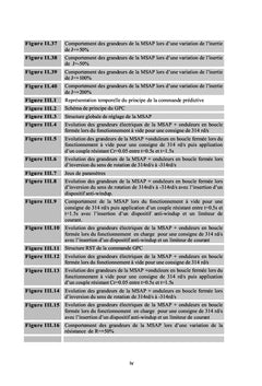 Contribution dans la commande avancée des machines électriques
