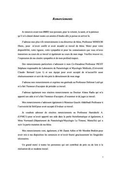 Les céréales et l'utilisation des antifongiques azolés