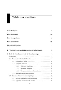 Recherche d'Information Monolingue et Translinguistique