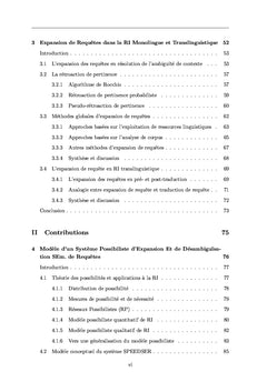 Recherche d'Information Monolingue et Translinguistique