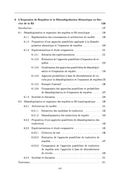 Recherche d'Information Monolingue et Translinguistique
