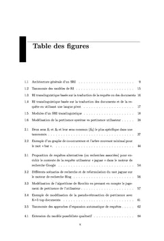 Recherche d'Information Monolingue et Translinguistique