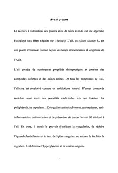 L'ail (Allium Sativum)