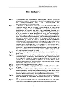 L'effet de la salinité sur l'amandier (Prunus amygdalus)