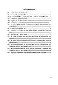 Composés phénoliques et propriétés biologiques des oignons du Burkina