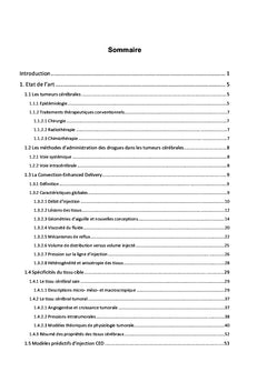 Ecoulement et transport convectif lors d'injections locales