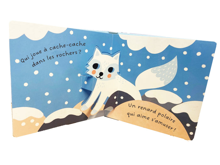 Mon petit pop-up des neiges