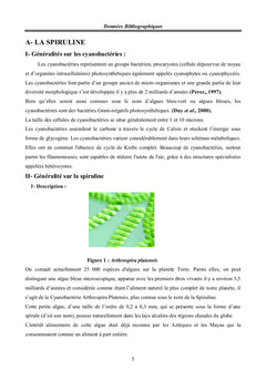 Etudes hépatique et antioxydante d'une Algue Bleu Vert