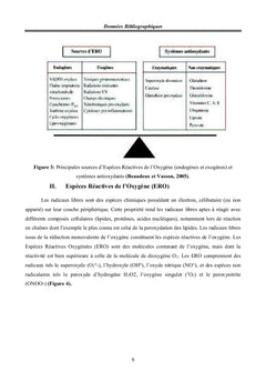 Etudes hépatique et antioxydante d'une Algue Bleu Vert