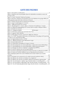Screening biologique et pharmacologique des fleurs de Calendula Arvensis