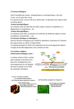 Relation Plante-Environnement