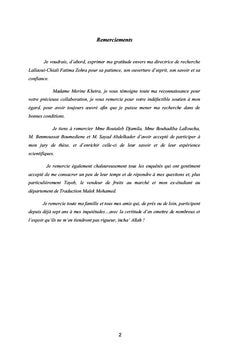 Représentations et pratiques langagières des jeunes bélabesiens