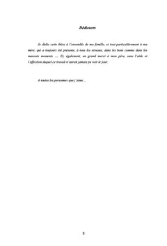 Représentations et pratiques langagières des jeunes bélabesiens