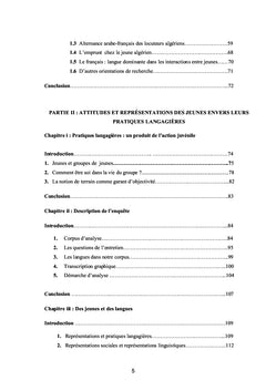Représentations et pratiques langagières des jeunes bélabesiens