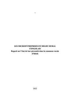 Les microentreprises en milieu rural congolais.