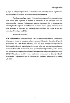 Culture in vitro de la pomme de terre