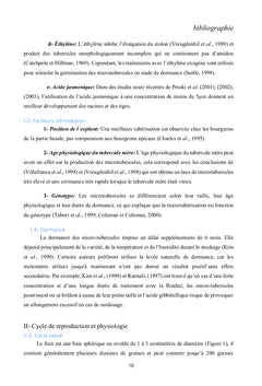 Culture in vitro de la pomme de terre