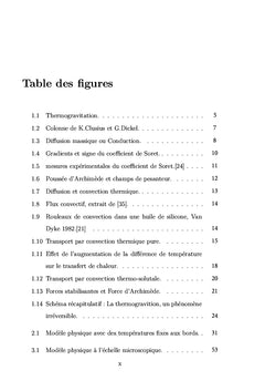Introduction à la modélisation multi-échelle
