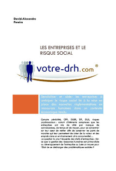 Les Entreprises et le Risque Social