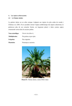 Guide pratique de reconnaissance des espèces ornementales