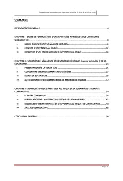 Formulation d'une appétence au risque sous Solvabilité II