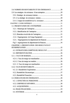 La Rentabilité et La Croissance d'une Entreprise