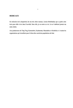 Analyse de la performance des exploitations maraîchères à Lubumbashi