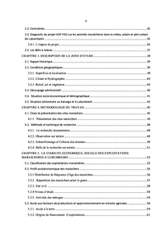 Analyse de la performance des exploitations maraîchères à Lubumbashi