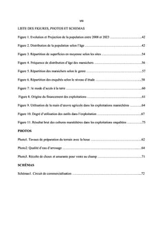 Analyse de la performance des exploitations maraîchères à Lubumbashi