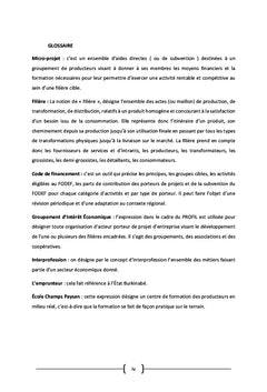 Analyse des mécanismes de financement des micro-projets