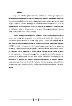 Analyse des mécanismes de financement des micro-projets