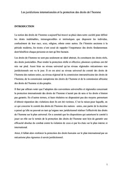 Les juridictions internationales et la protection des droits de l'homme