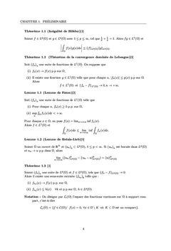 Equation Elliptique d'Ordre Deux de type Kirchhoff avec Singularité