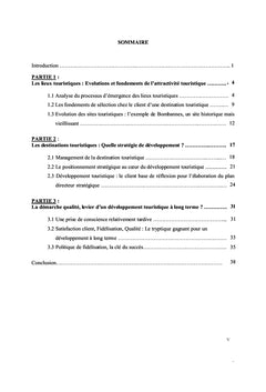 Stratégies et leviers de développement d'un lieu touristique