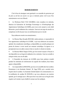 Voter dans les micro-organisations: mise en perspective des syndicats en Côte d'Ivoire