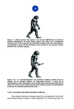Bien connaître et Apprendre l'histoire des Civilisations